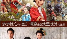 电视剧步步惊心