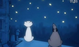 starless动漫,探索Starless动漫的奇幻世界