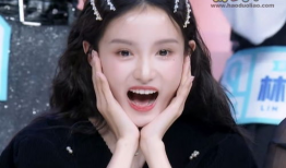 网红小明星,闪耀网络，引领潮流的璀璨新星