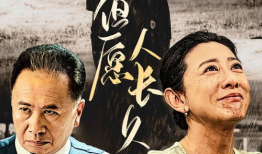 电视剧但愿人长久,穿越时空的浪漫传奇