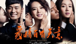 电视剧 爱,情感交织的人生旅程